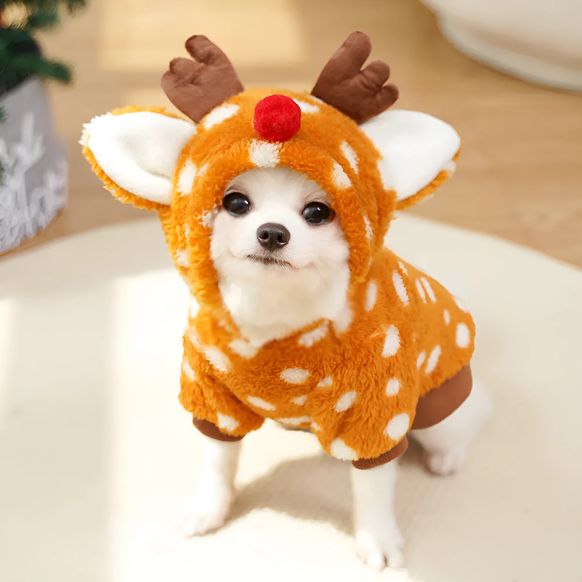 Fleece-lined pet coat with elk pattern on a dog, available in six sizes from XS to XXL