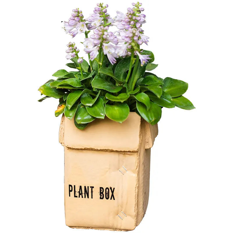 Cement flowerpot with drainage holes in a Nordic style, shown in a cement imitation carton finish.