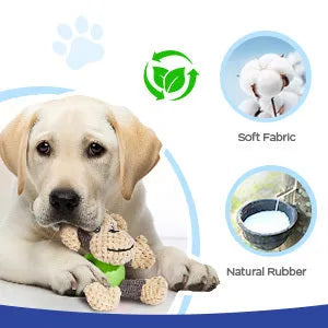 Cute monkey plush squeaky dog toy with soft fabric and four legs on white background