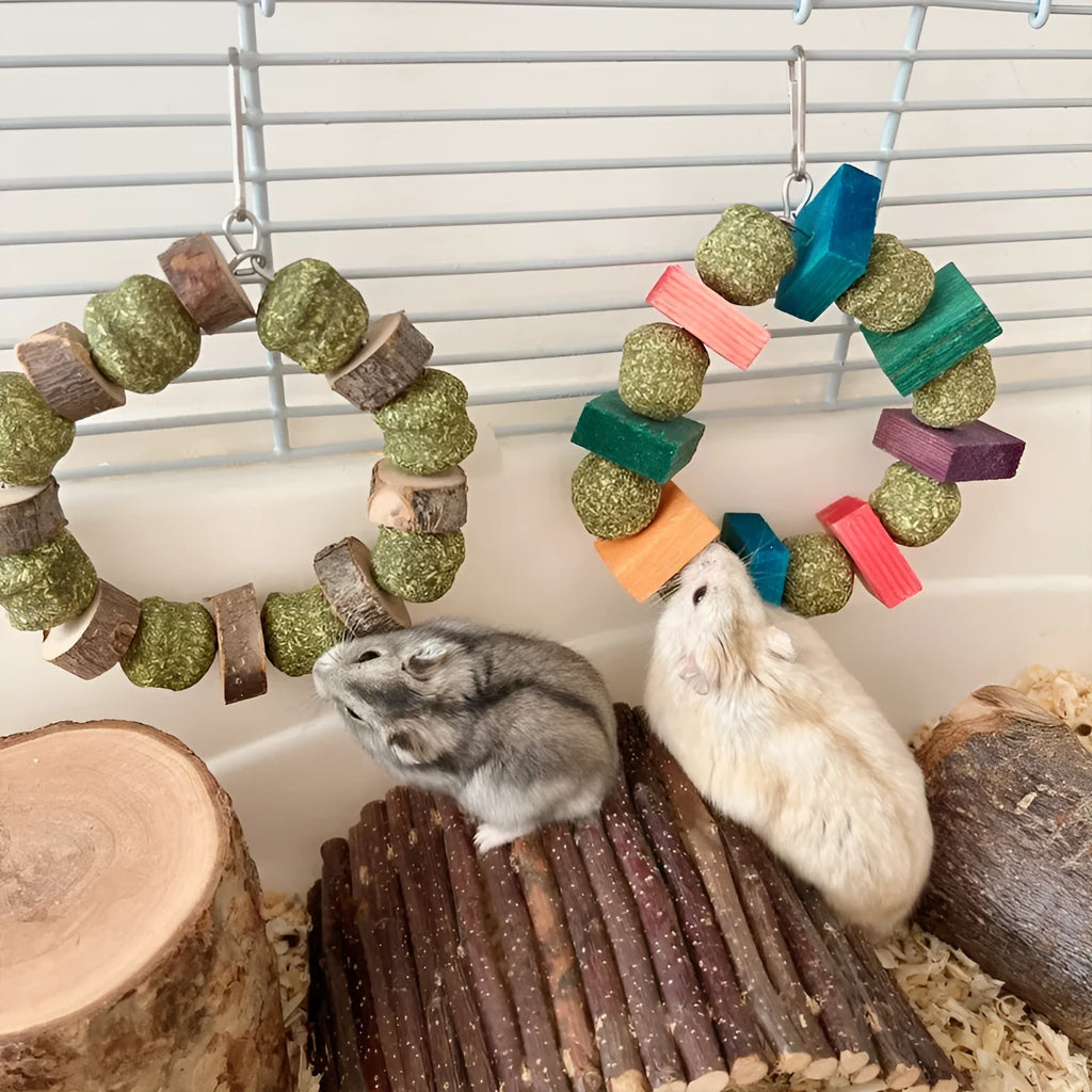 Hamster chew toy with decorative straw ball ring and Applewood gnawing rod for small pets
