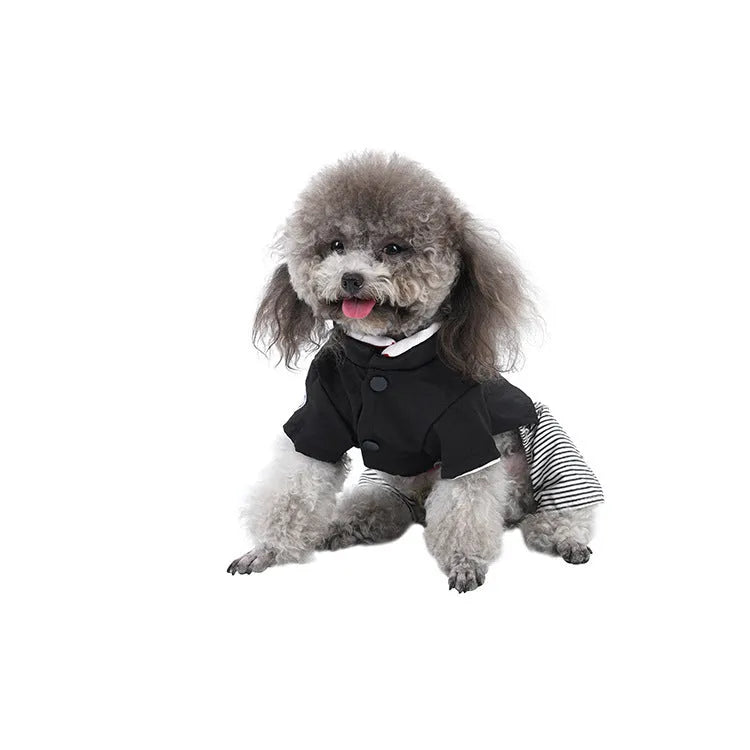 Thin cotton dog clothes for poodles in skirt or four-legged pants styles available in four sizes