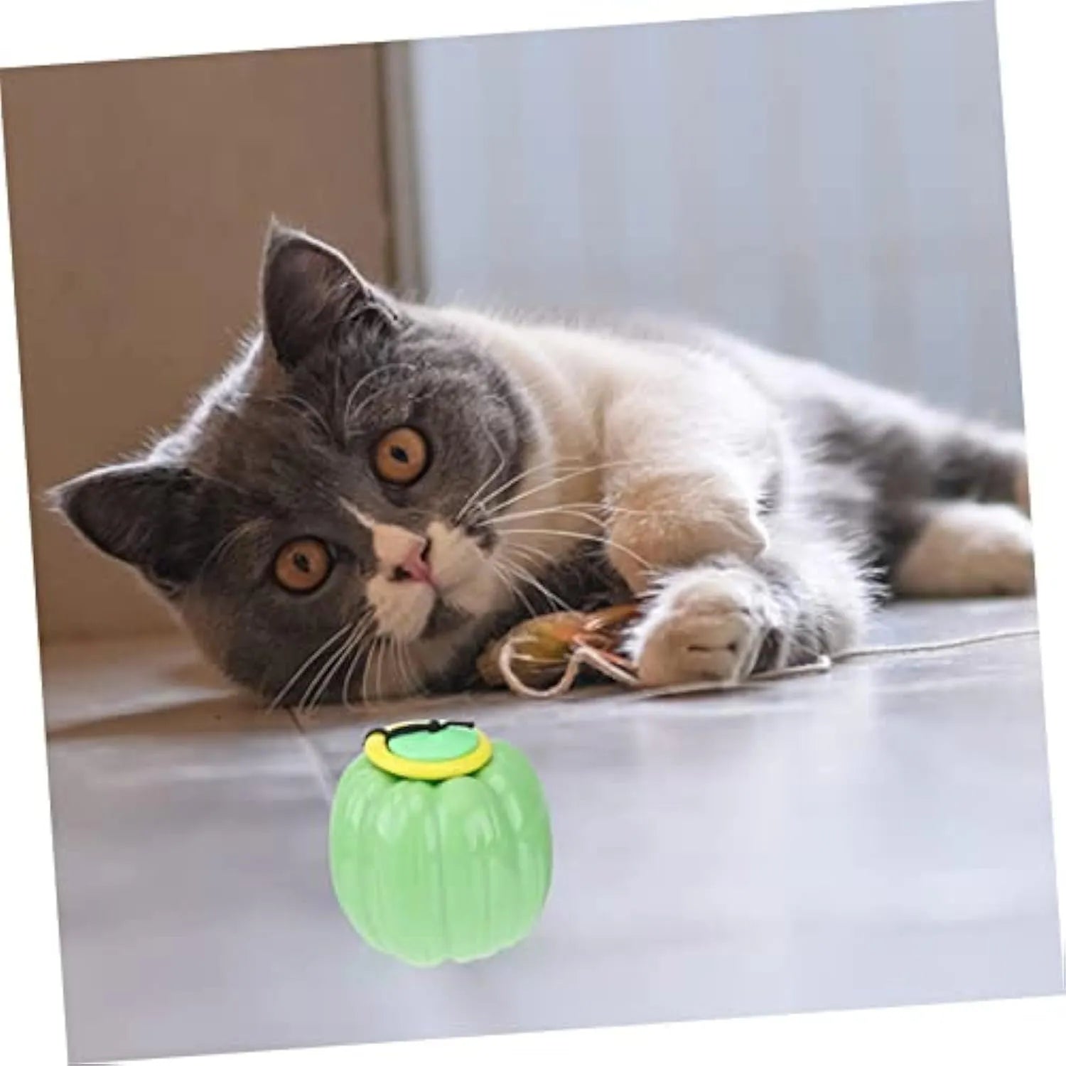 Pumpkin-shaped plastic dog chew toy with squeaker for small breed puppies