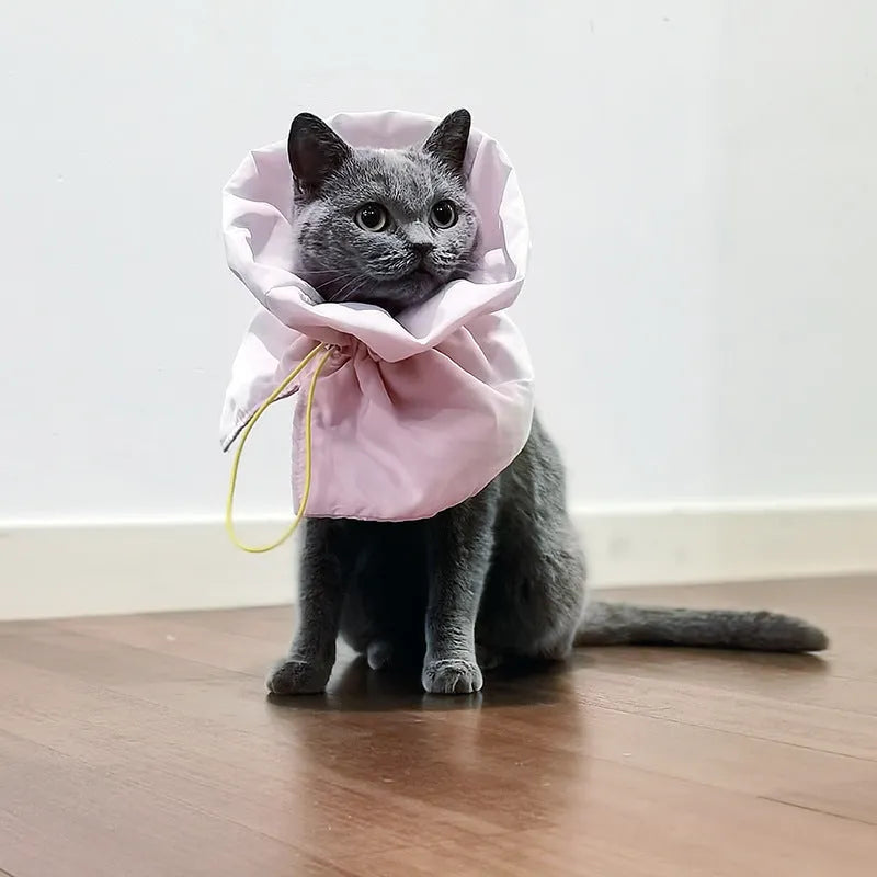 Adjustable soft polyester cat recovery collar in light blue for small to medium cats and dogs