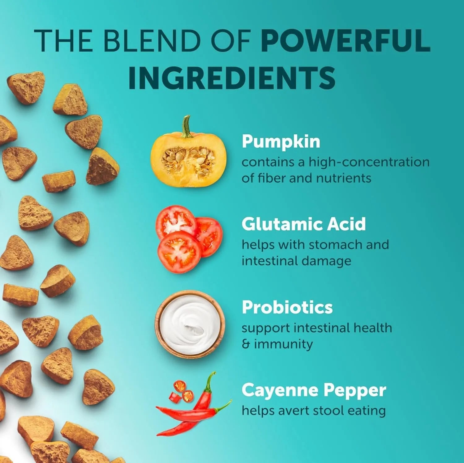 Pet Intestinal Probiotic Chewable Tablets 180 pieces pumpkin flavour for dog digestive support