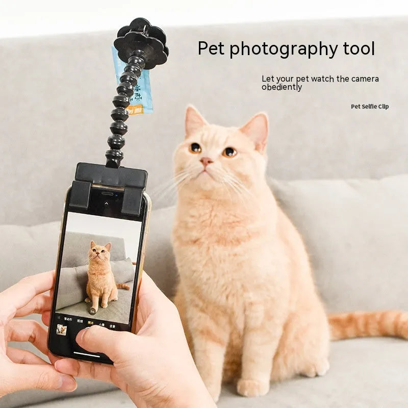 Black pet photography clip with treat holder and phone mount on white background