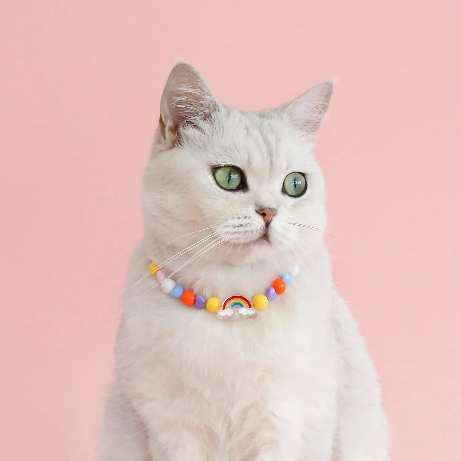 Adjustable plastic cat collar necklace with colourful pearl beads in small flower, rainbow, or peach patterns.
