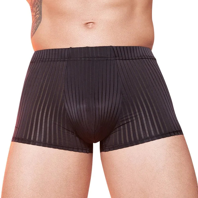 Men's striped underwear briefs in thin transparent nylon fabric showing black white dark grey colour options
