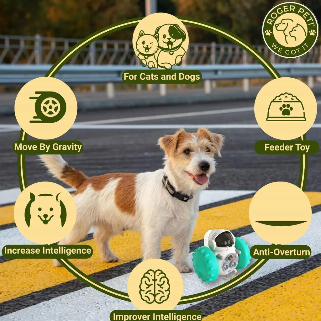 Robot-design tumbler treat dispenser toy for small dogs and cats in assorted colours