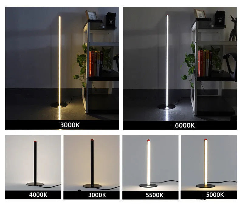 Modern simple vertical aluminum alloy floor lamp with USB plug in three height options