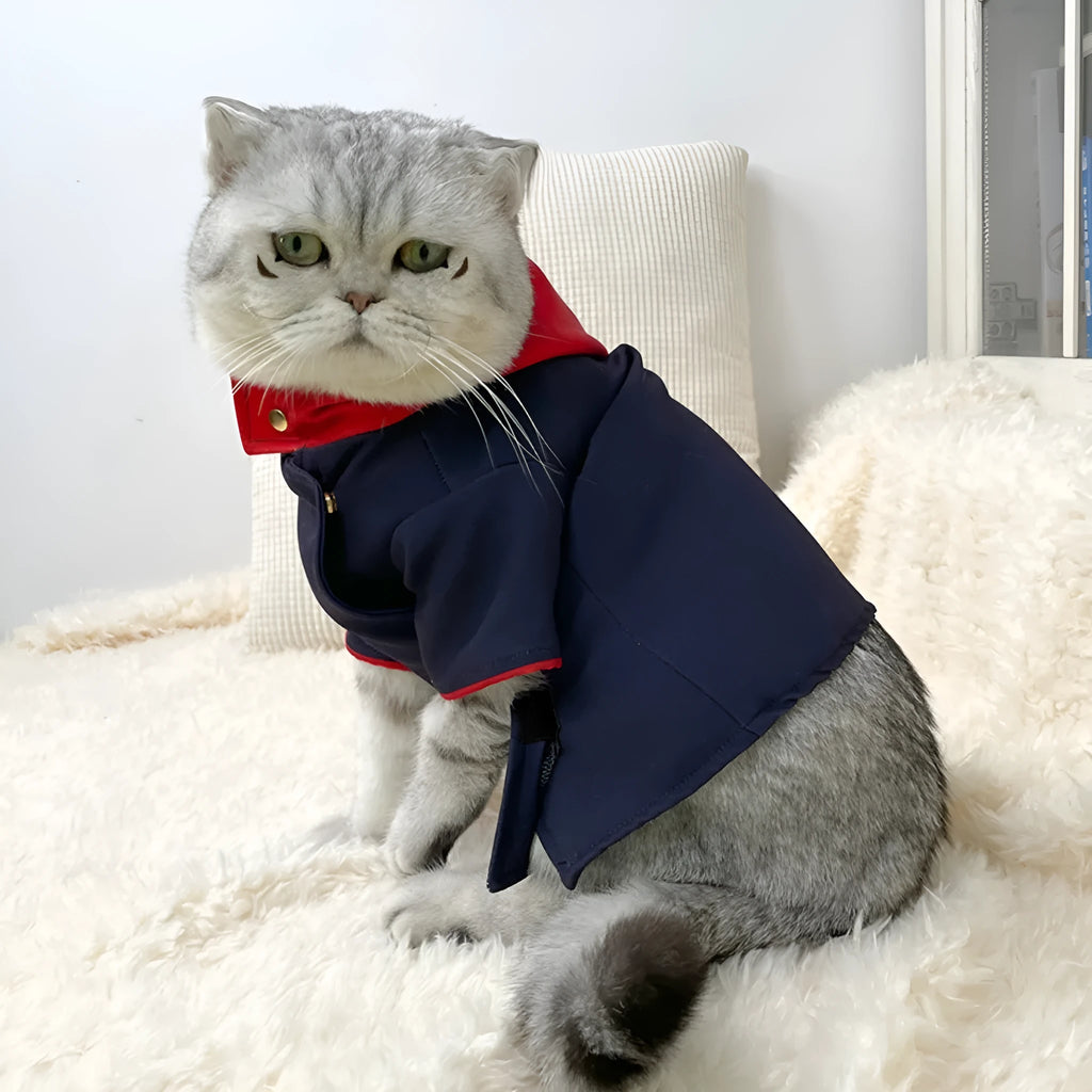 Tiger stripe hoodie for cats and dogs worn as photo prop costume