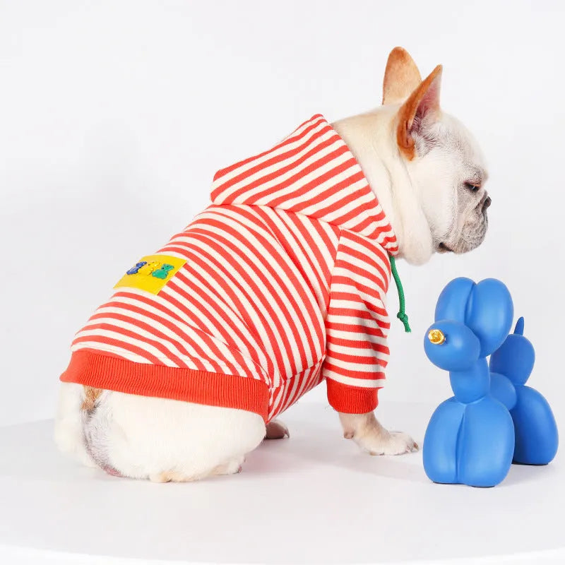 Orange cotton hooded dog sweater for small to extra large dogs Japanese Korean style