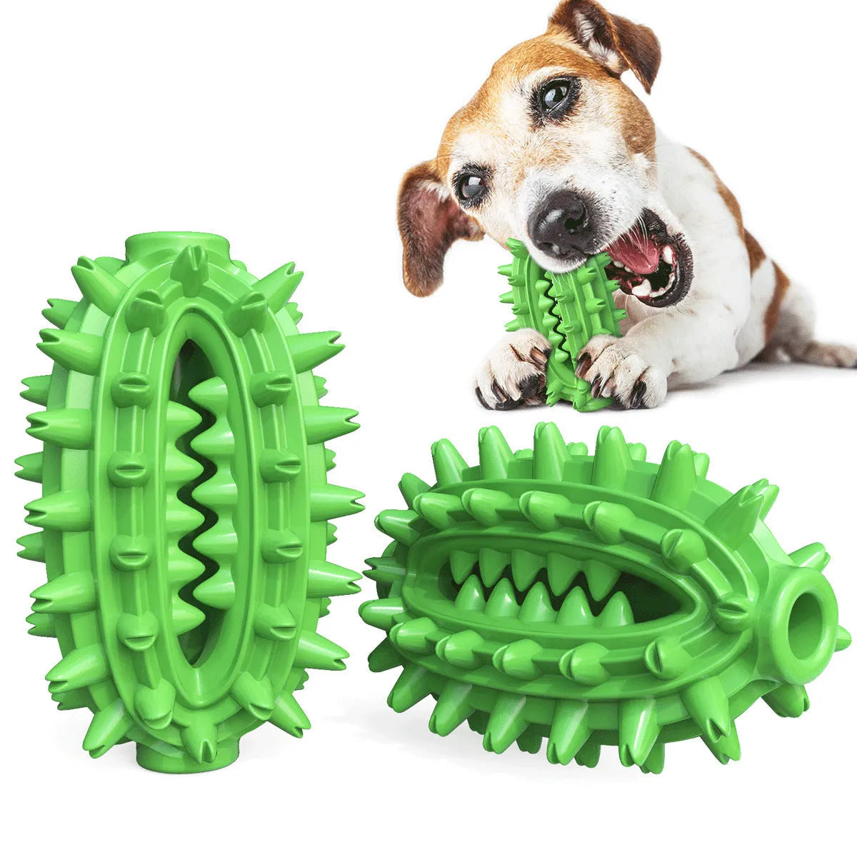 Green cactus-shaped dog chew toy with textured bumps for dental care on a white background