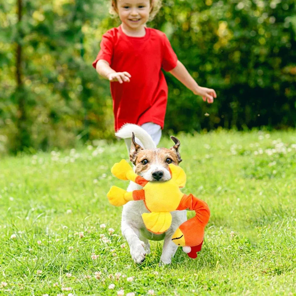 Screaming chicken sound dog toy in black, green, or orange with bite-resistant latex rubber construction