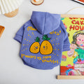 Winter cartoon printed plush pet hoodie in blue and purple made from cotton, shown on a pet