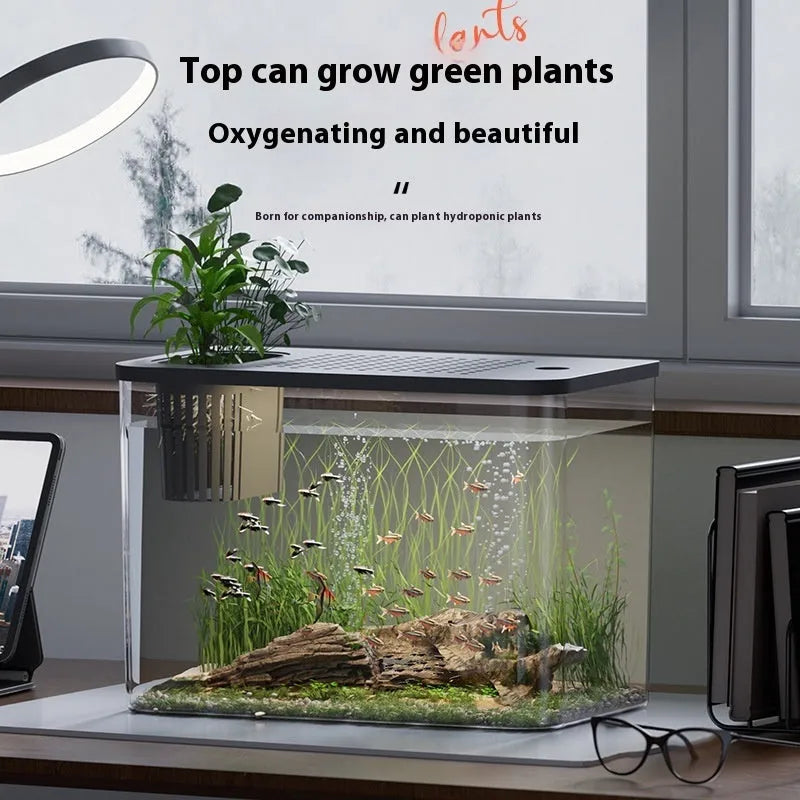 Medium ecological betta tank with cover in black or white colour options