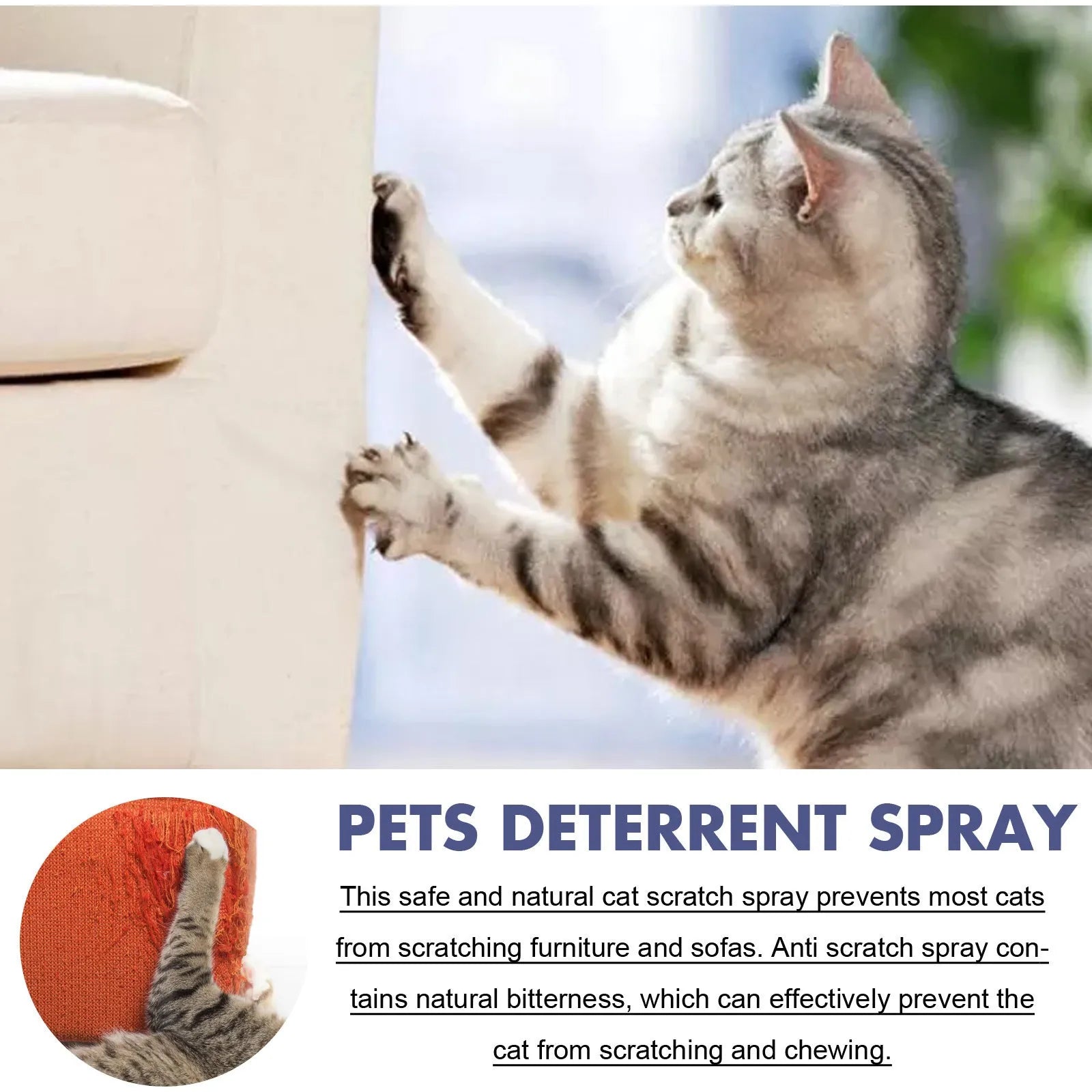 50ml boxed pet anti-scratch training spray for dogs and cats deterring scratching on door and sofa