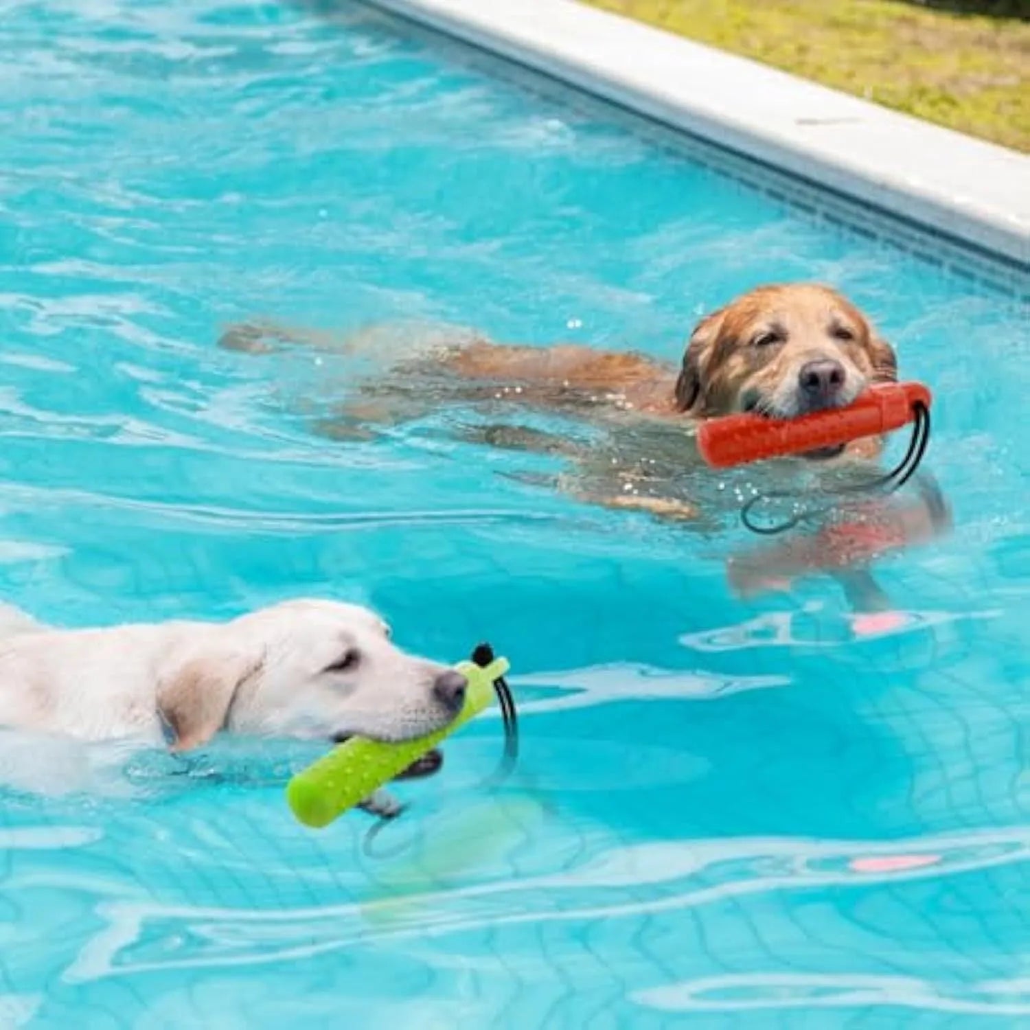 Two floating dog pool toys in red and green, TPR material with rope, 240x45mm, floating on water