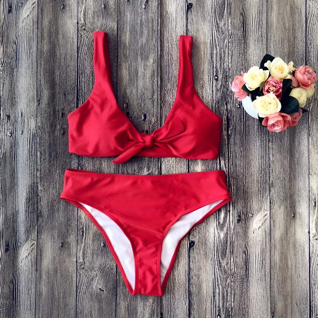 Solid colour bikini set on a hanger showing the bra and panties in a wine red shade.