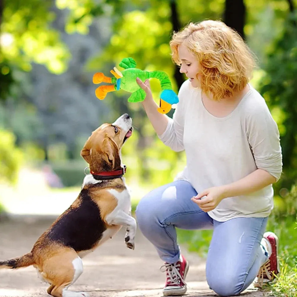 Screaming chicken sound dog toy in black, green, or orange with bite-resistant latex rubber construction