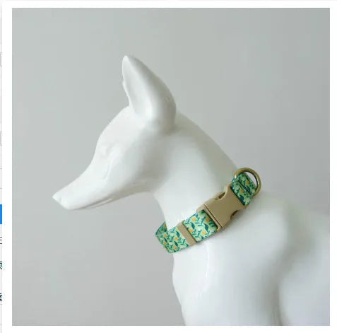 Nylon ribbon pet collar with flower pattern in Hanada colour on a small cat
