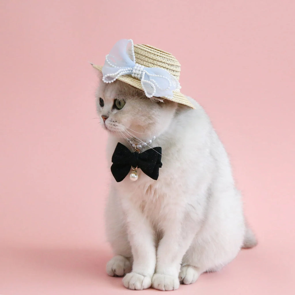 Woven Lafite leaves cat hat with pearl butterfly bow in pink blue purple or white