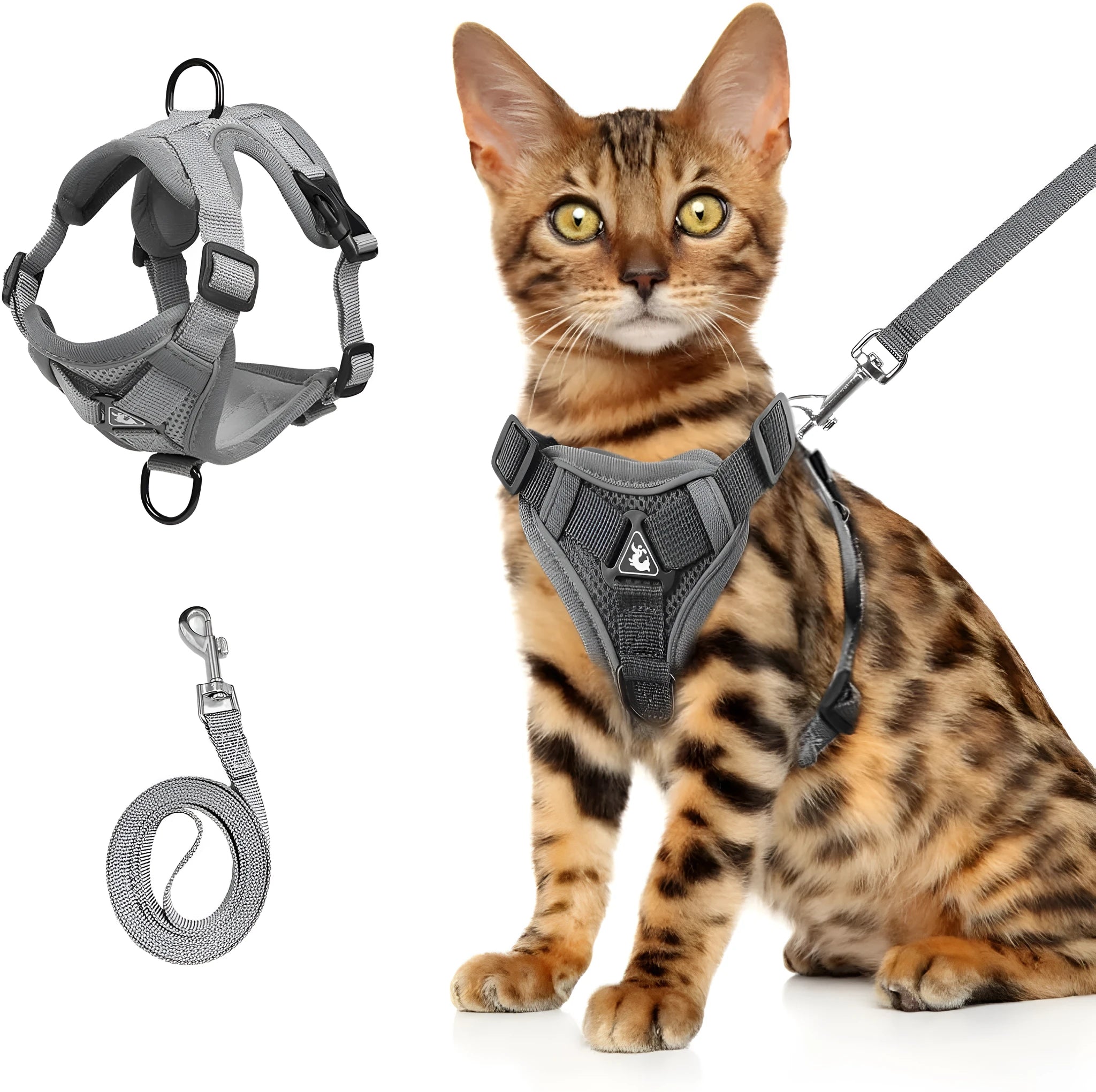 Soft mesh cat harness and leash set in blue with reflective chest patch on a cat outdoors