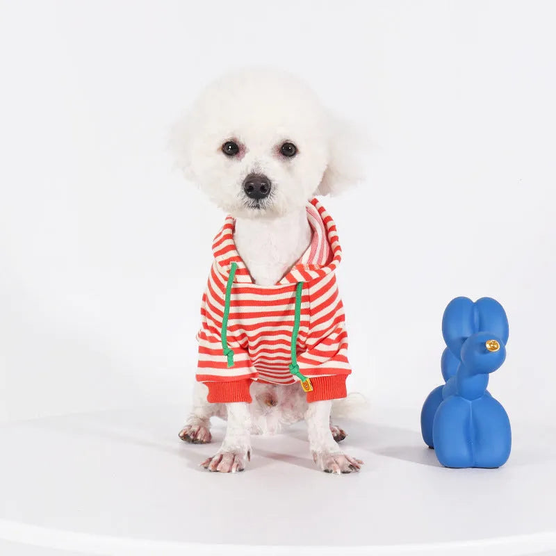 Orange cotton hooded dog sweater for small to extra large dogs Japanese Korean style