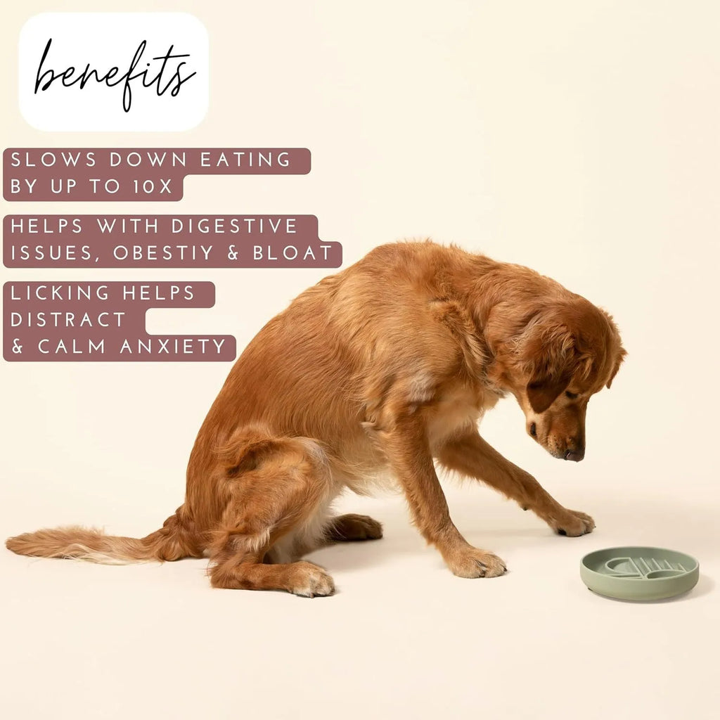 Silicone slow feeder dog bowl with ridges in assorted colours
