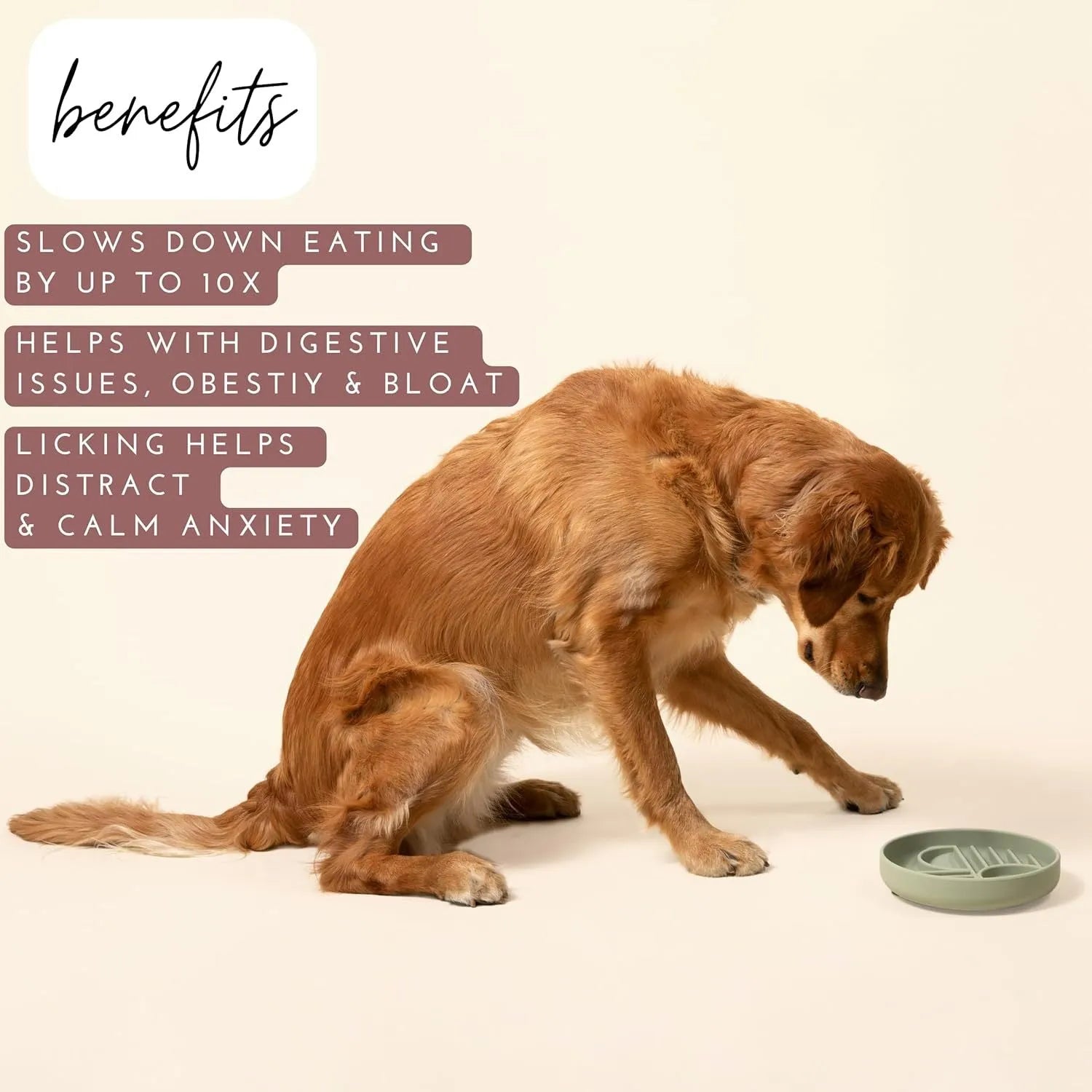 Silicone slow feeder dog bowl with ridges in assorted colours