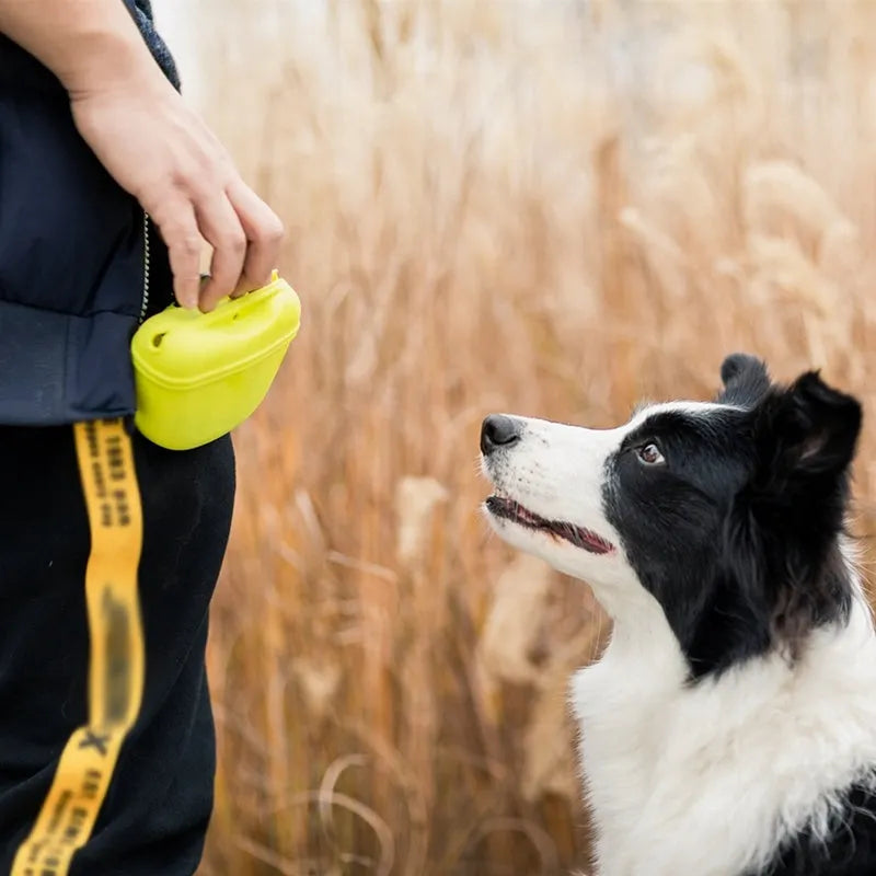 Silicone dog training treat waist bag with magnetic closure and belt clip in multiple colours