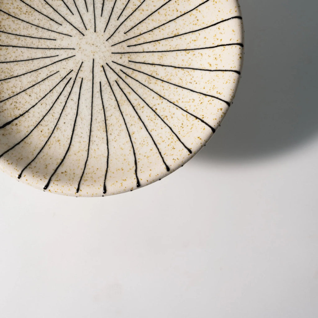 Black and white striped fruit pattern dessert plate made from plastic resin