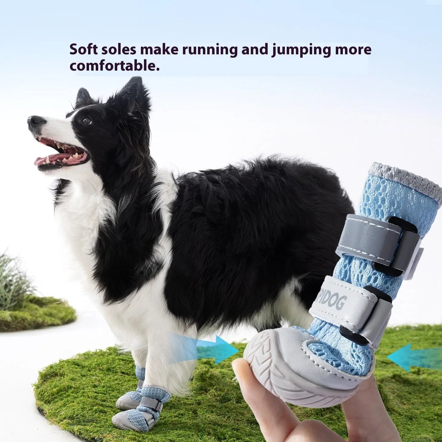 Cartoon style dog shoes in Bondi Blue colour showing breathable anti-scald summer pet footwear
