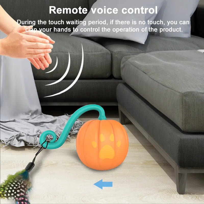 Electric cat toy luminous ball in plastic, available in watermelon and pumpkin colour options for interactive feline play