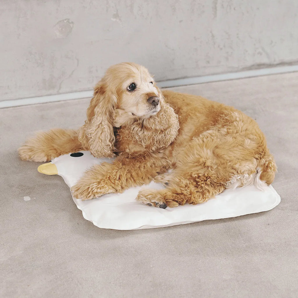 Washable chick cooling mat for pets with non-stick hair surface, 45cm x 45cm, on indoor floor