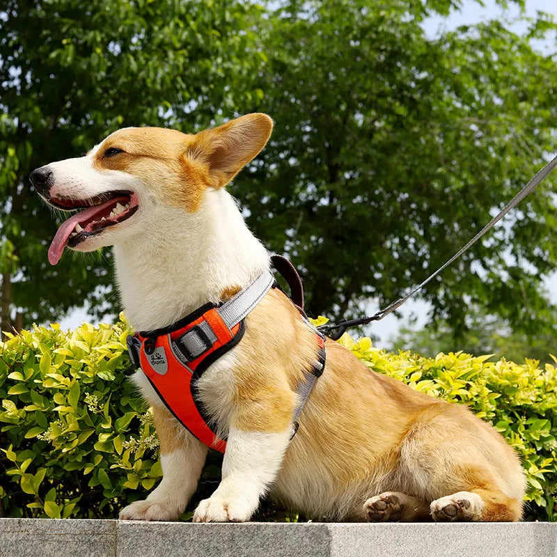 Adjustable dog harness with chest strap and detachable hand holding rope in multiple colours