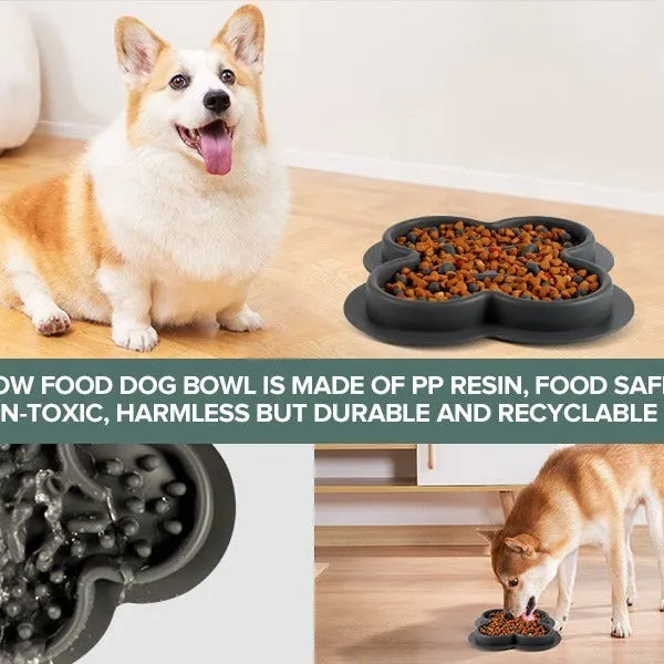 Silicone pet licking pad with textured ridges and non-slip base in assorted colours