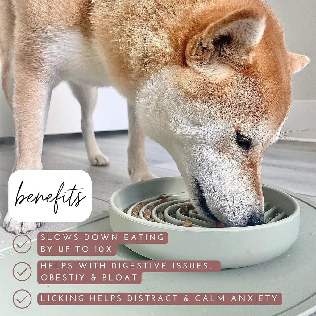 Silicone slow feeder dog bowl with ridges in assorted colours