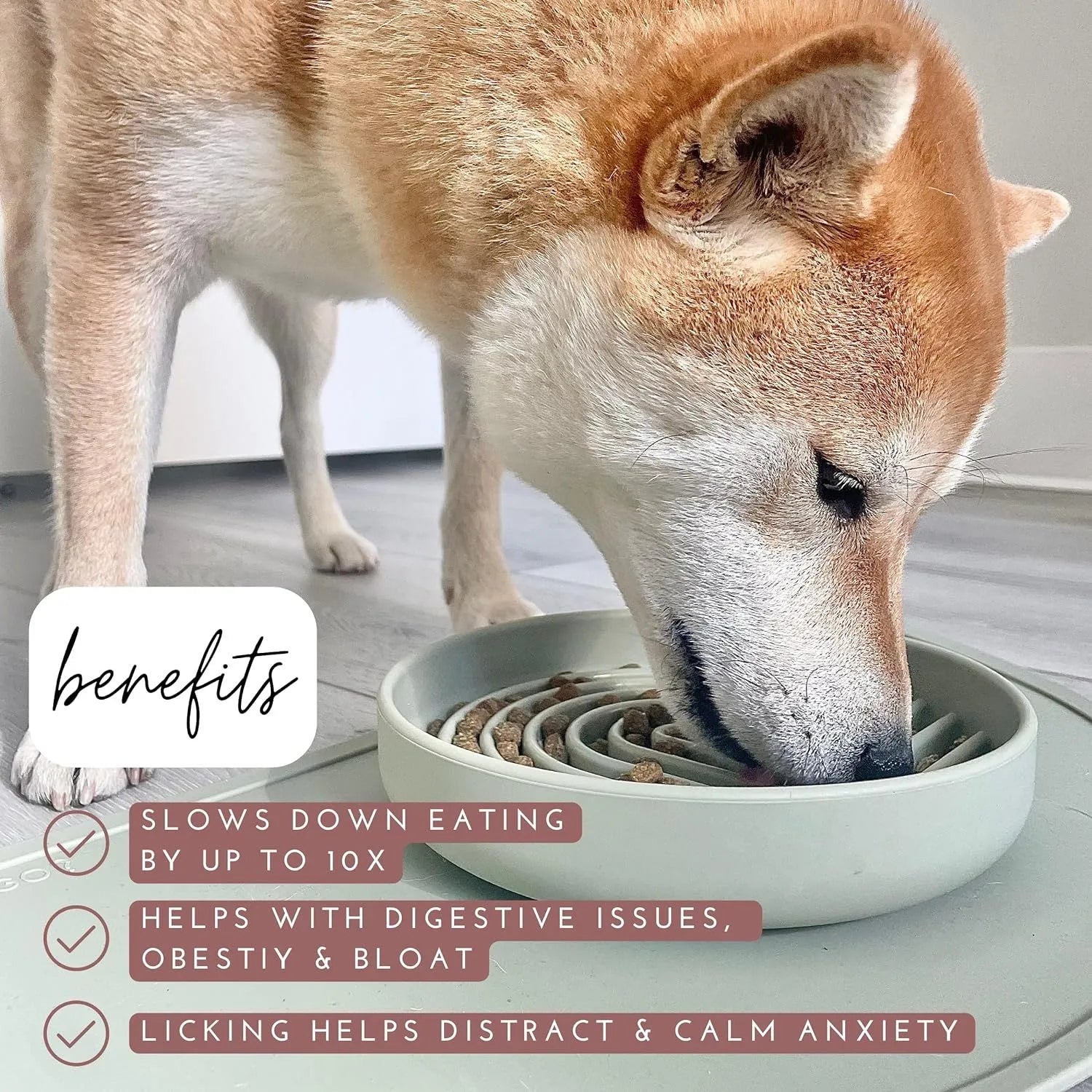 Silicone slow feeder dog bowl with ridges in assorted colours