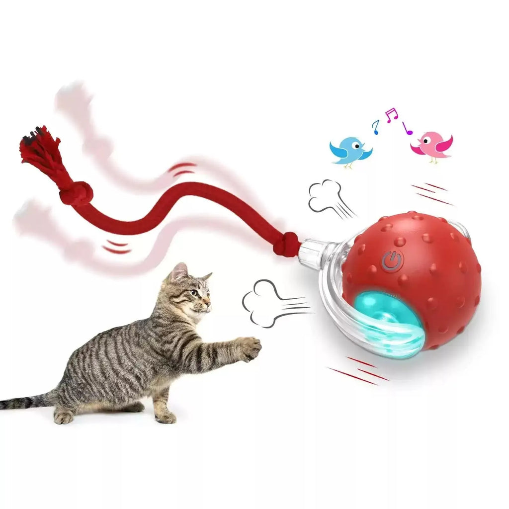 Interactive Super Drive cat rolling ball in blue and red colour options on a light floor