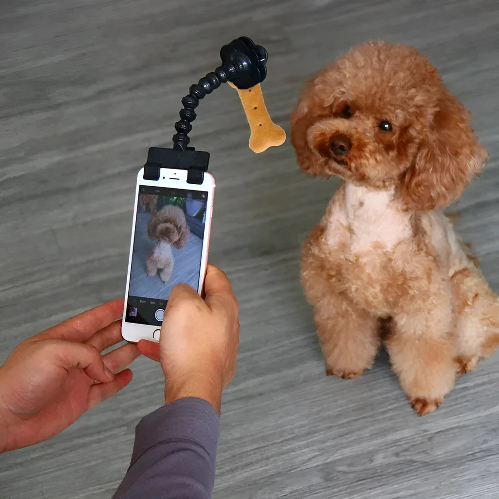 Black pet photography clip with treat holder and phone mount on white background