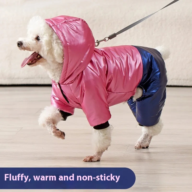 Green cotton dog coat with four-legged design and padded lining on a dog outdoors.