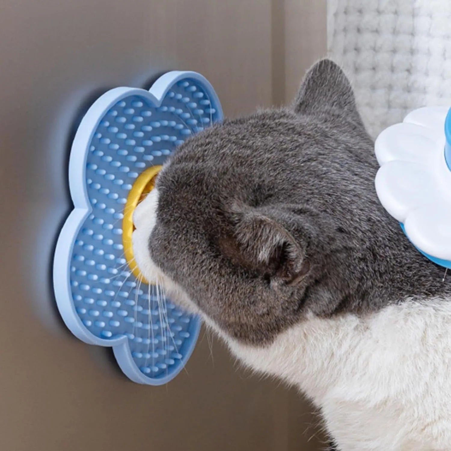 Flower-shaped silicone lick pad with suction cup for cats and dogs, available in five colours