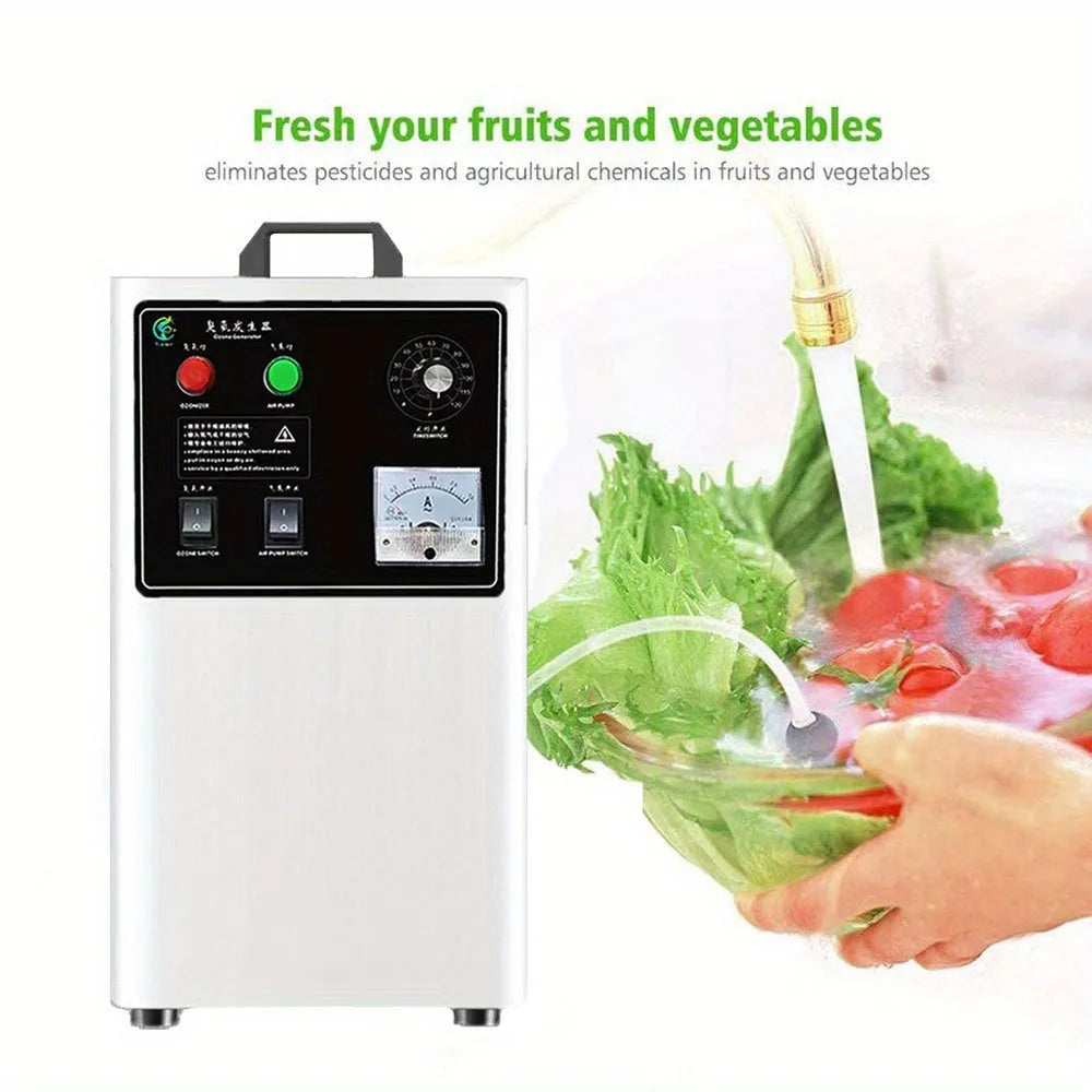 20g/h fruit and vegetable ozone generator with air-cooled system and 110V US plug