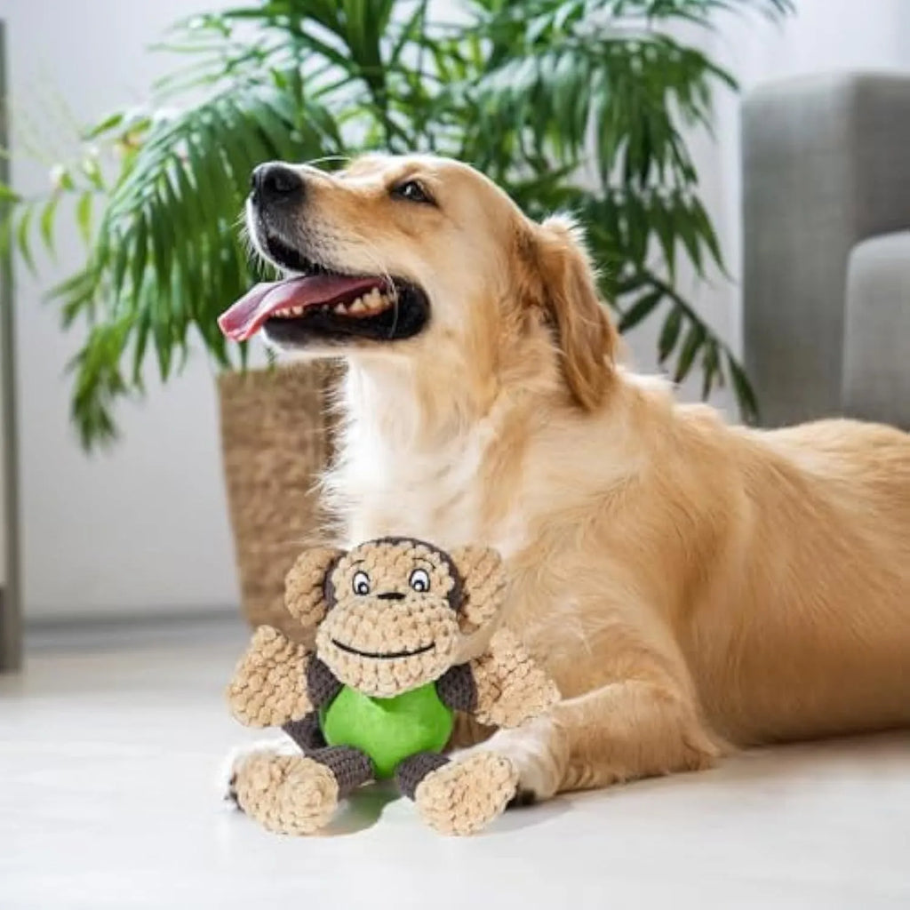 Cute monkey plush squeaky dog toy with soft fabric and four legs on white background
