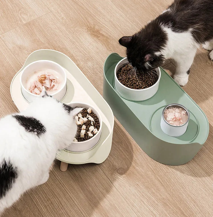Green tilted double pet bowl set with adjustable angle for cats and small dogs