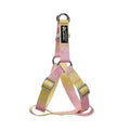 Nylon dog leash and collar set showing gradient colour pattern from pink to blue