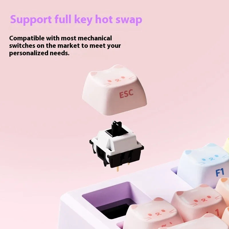 Coloured sugar cat Bluetooth mechanical keyboard with piano switches showing MG108B colour scheme