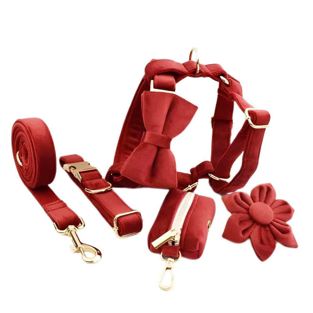 Dog collar pet traction cloth set with leash bow vest poop bag and flowers on white background