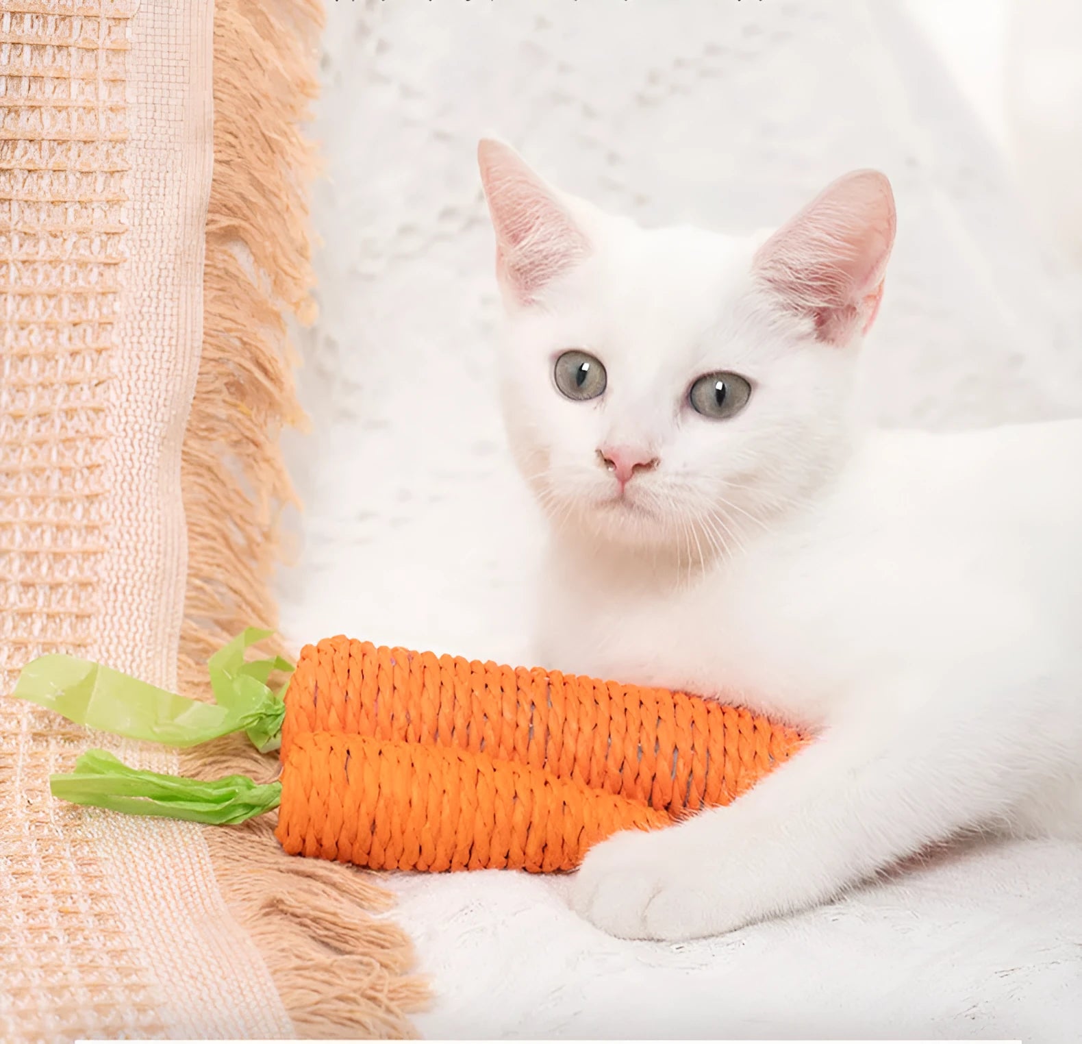 Assortment of cat toys including carrot shapes, paper balls, and grinding sticks in two size options