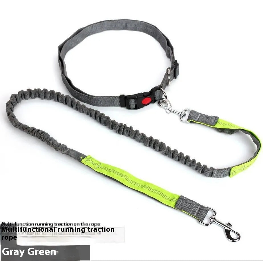 Grey and blue nylon dog leash with reflective stitching and an elastic section for running.